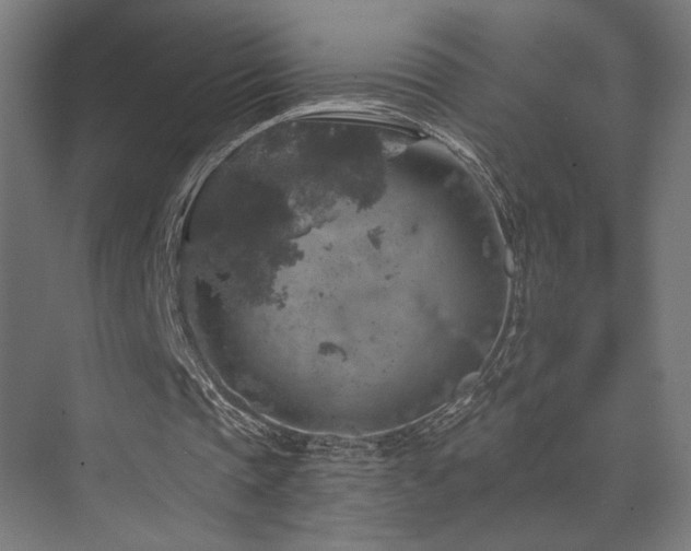 X0000074040337200608211524