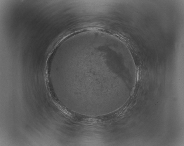 X0000074040339200608211524