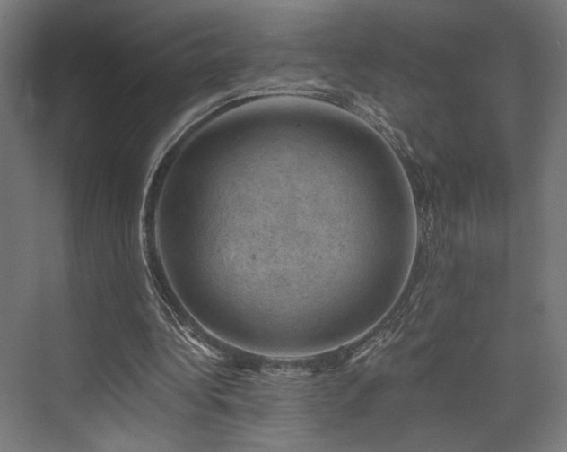 X0000074040340200608211524