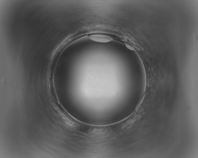 X0000074040341200608211524