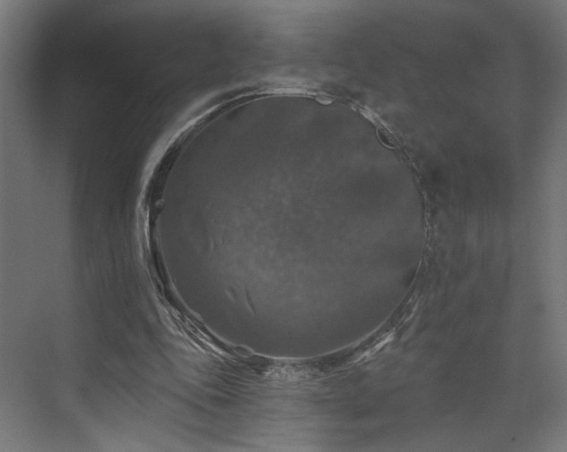 X0000074040343200608211524