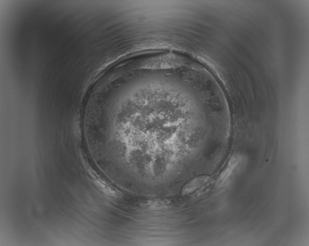 X0000074040345200608211524