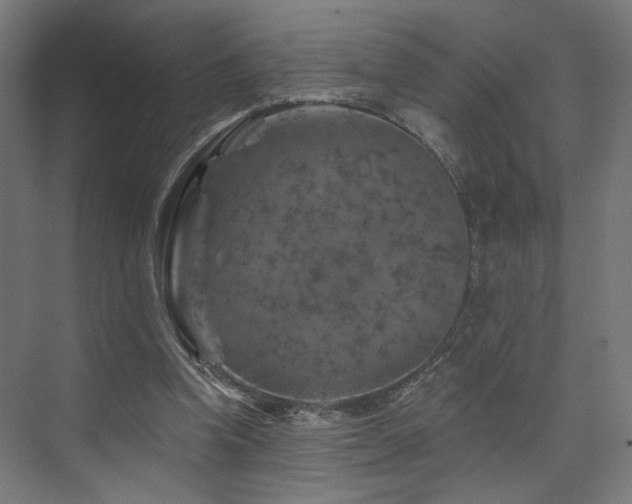 X0000074040346200608211524