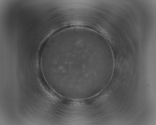 X0000074040347200608211524