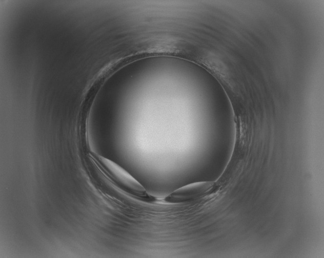 X0000074040348200608211524