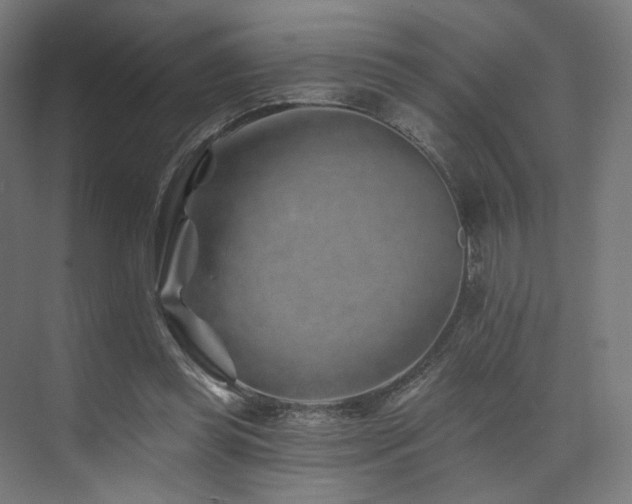 X0000074040349200608211524