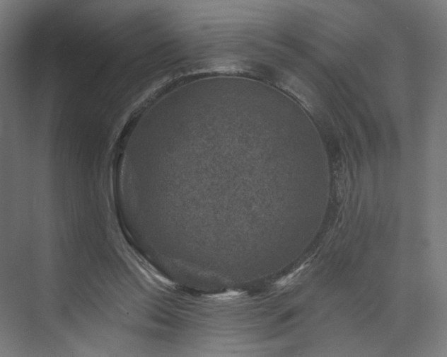 X0000074040350200608211524