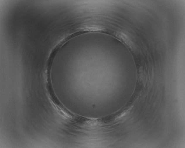 X0000074040351200608211524