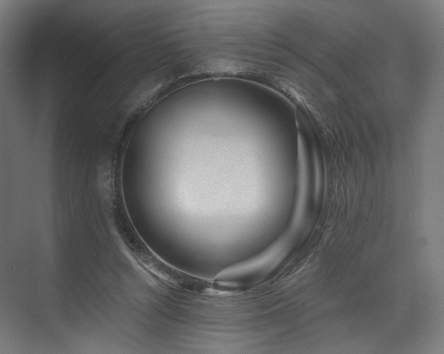 X0000074040352200608211524