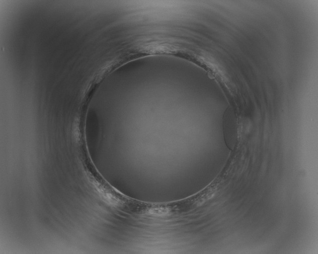 X0000074040353200608211524