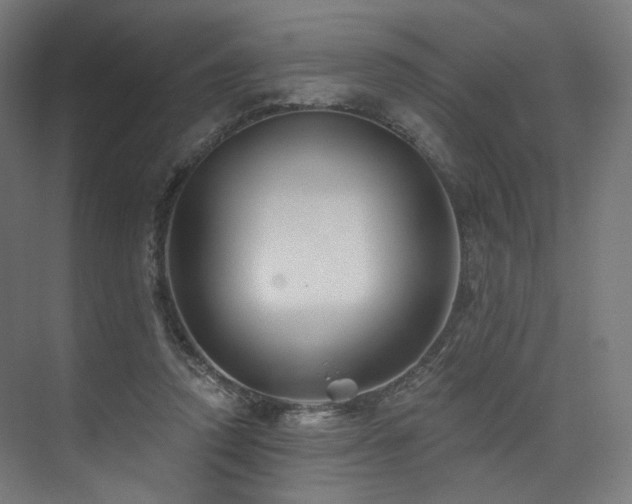 X0000074040354200608211524