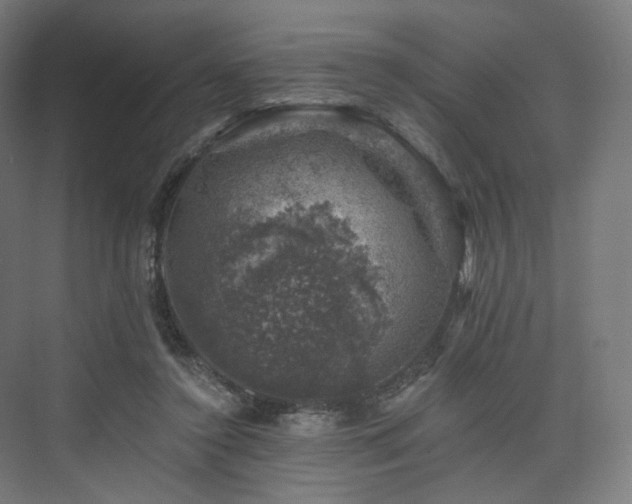 X0000074040356200608211524