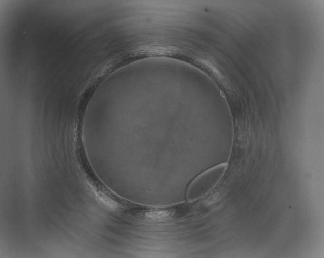 X0000074040357200608211524