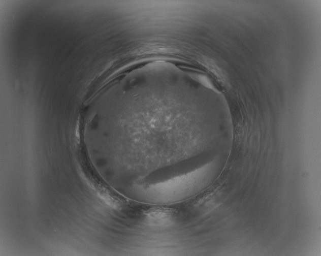 X0000074040358200608211524