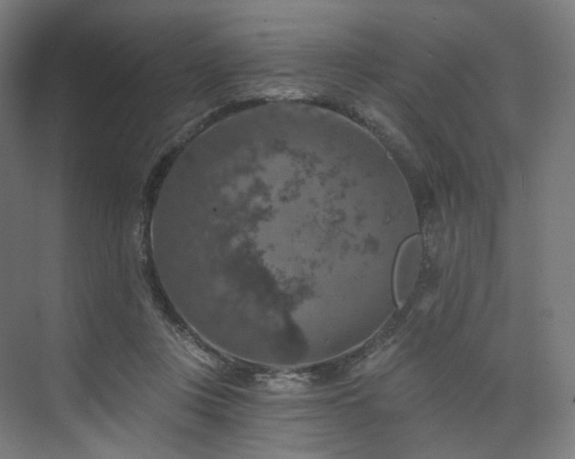 X0000074040359200608211524