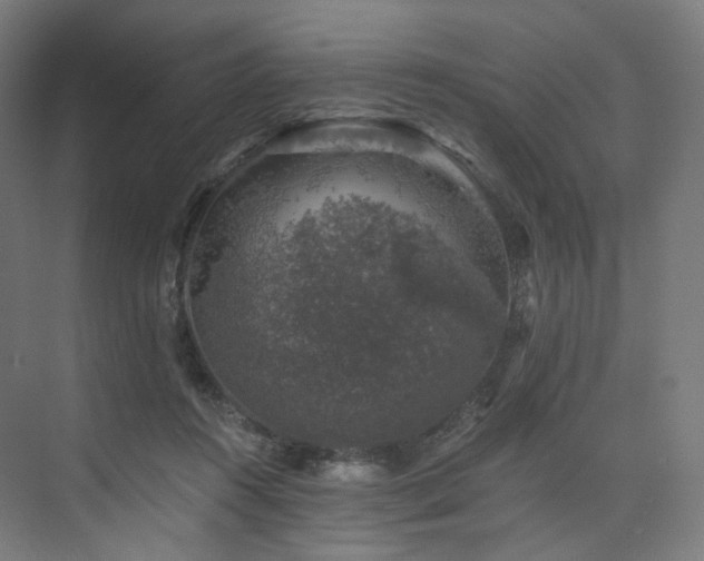 X0000074040360200608211524