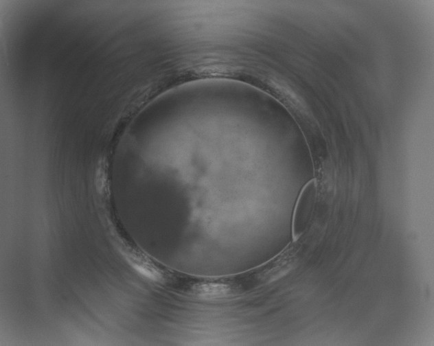 X0000074040361200608211524