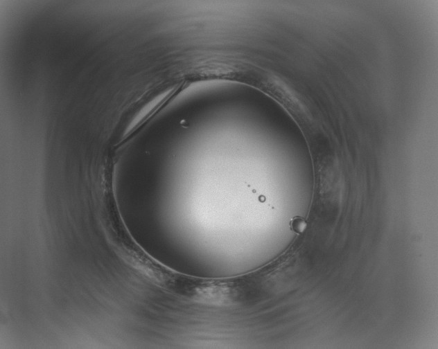 X0000074040362200608211524