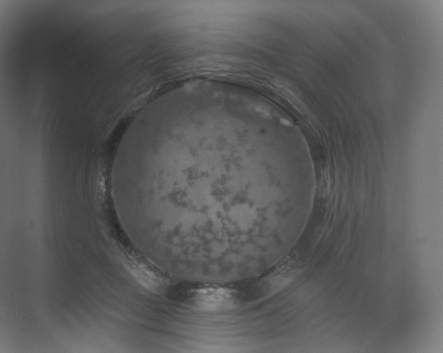 X0000074040363200608211524