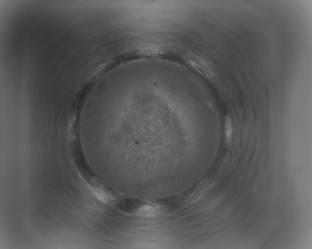 X0000074040364200608211524