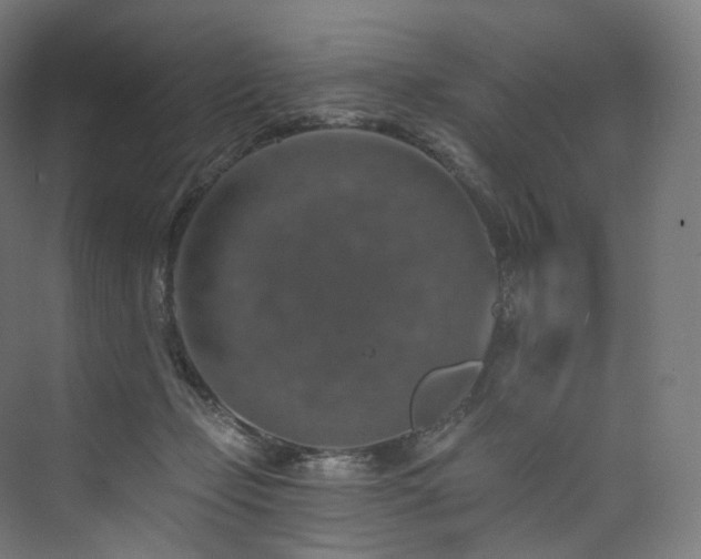 X0000074040365200608211524