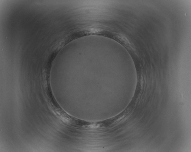 X0000074040366200608211525