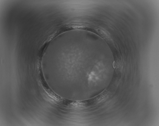 X0000074040367200608211525