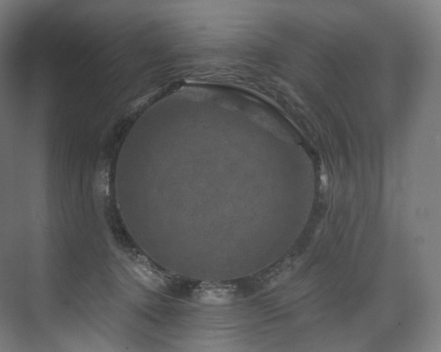 X0000074040368200608211525