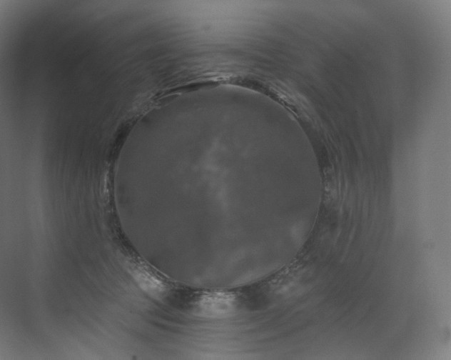 X0000074040369200608211525