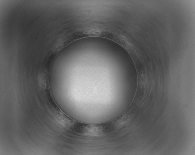 X0000074040370200608211525