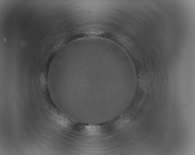 X0000074040371200608211525