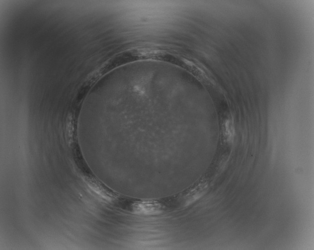 X0000074040372200608211525