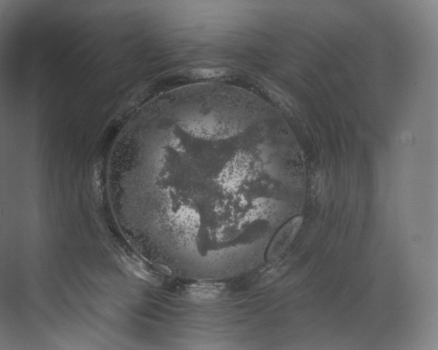 X0000074040373200608211525