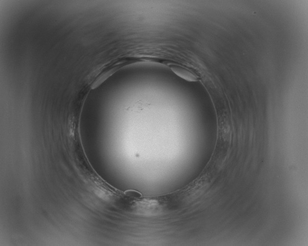 X0000074040374200608211525