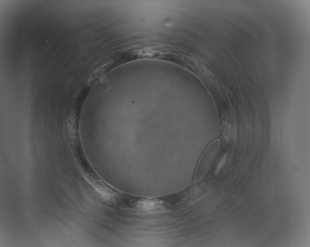 X0000074040375200608211525