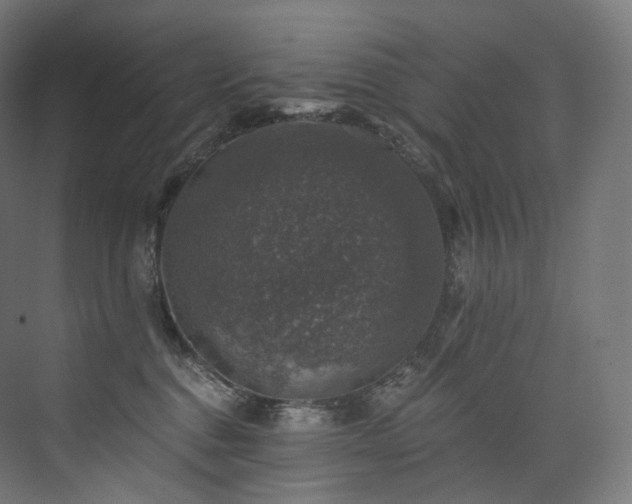 X0000074040376200608211525