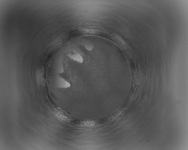 X0000074040377200608211525