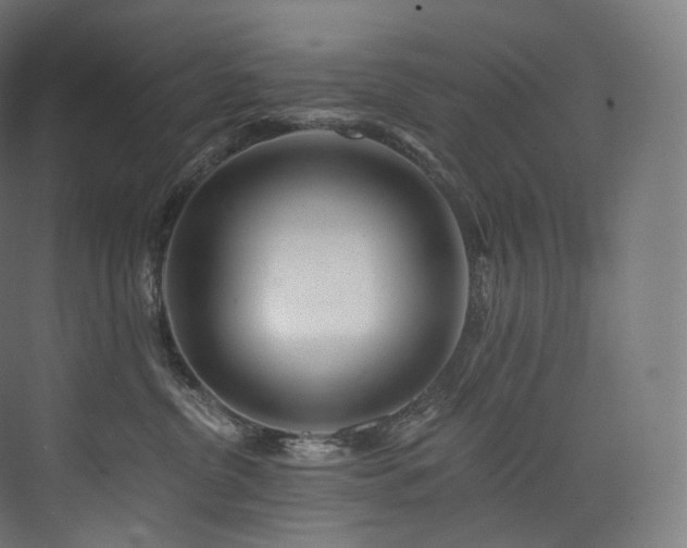 X0000074040380200608211525