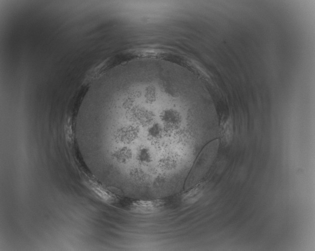 X0000074040381200608211525