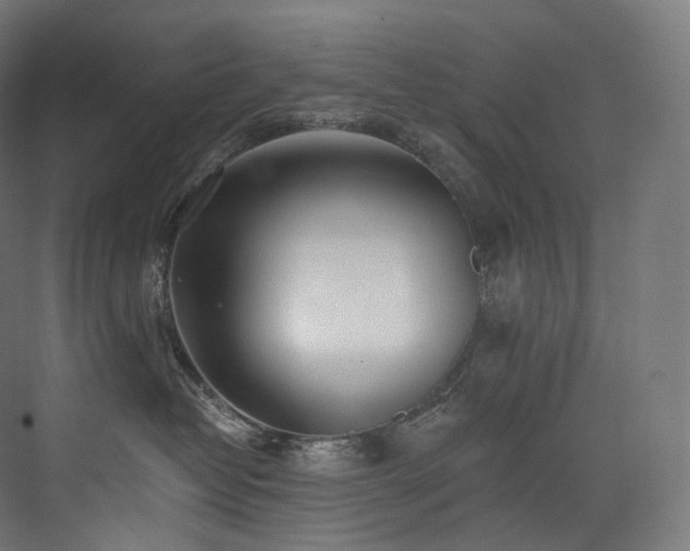 X0000074040382200608211525