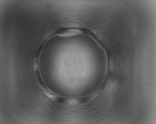 X0000074040383200608211525