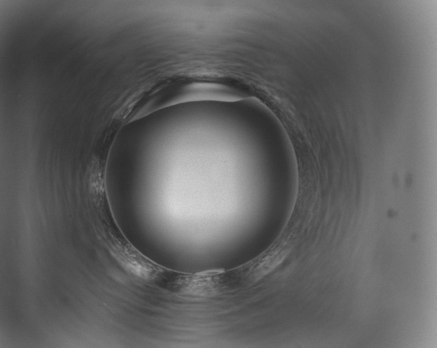 X0000074040384200608211525