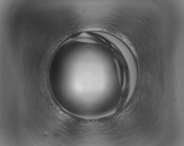 X0000074040385200608211524