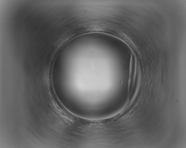 X0000074040386200608211524