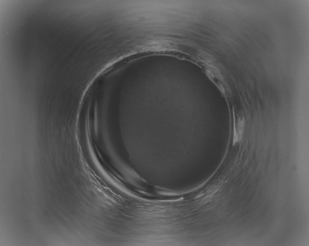 X0000074040387200608211524