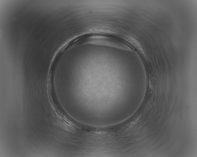 X0000074040388200608211524