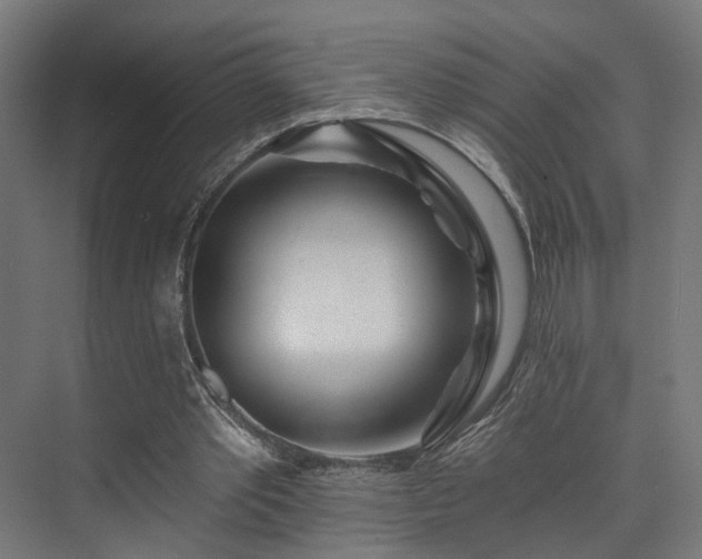 X0000074040389200608211524