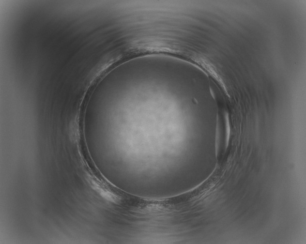 X0000074040390200608211524