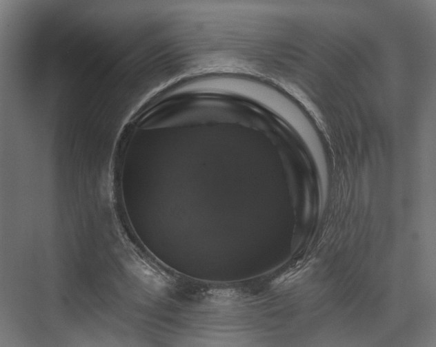 X0000074040391200608211524