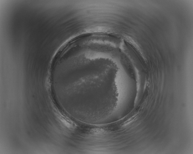 X0000074040392200608211524